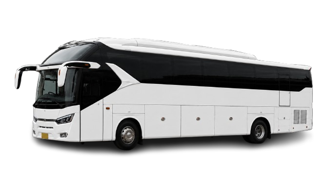 BIG BUS